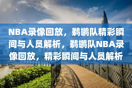 NBA录像回放，鹈鹕队精彩瞬间与人员解析，鹈鹕队NBA录像回放，精彩瞬间与人员解析