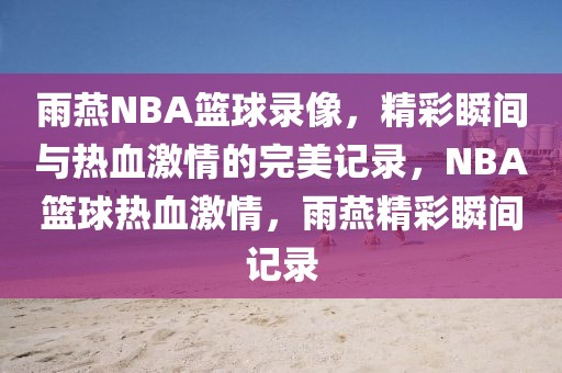 雨燕NBA篮球录像，精彩瞬间与热血激情的完美记录，NBA篮球热血激情，雨燕精彩瞬间记录