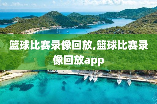 篮球比赛录像回放,篮球比赛录像回放app