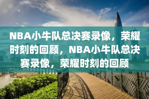 NBA小牛队总决赛录像，荣耀时刻的回顾，NBA小牛队总决赛录像，荣耀时刻的回顾