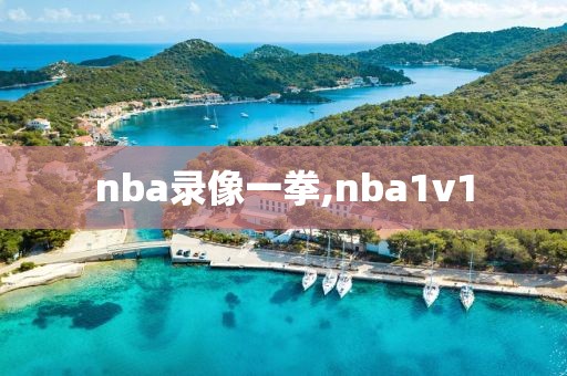 nba录像一拳,nba1v1