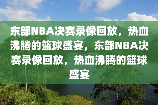 东部NBA决赛录像回放，热血沸腾的篮球盛宴，东部NBA决赛录像回放，热血沸腾的篮球盛宴