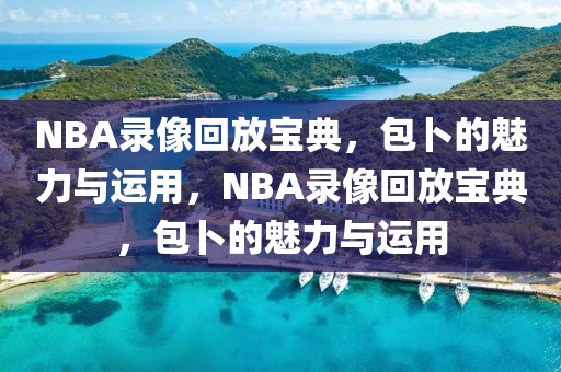 NBA录像回放宝典，包卜的魅力与运用，NBA录像回放宝典，包卜的魅力与运用