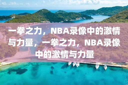 一拳之力，NBA录像中的激情与力量，一拳之力，NBA录像中的激情与力量