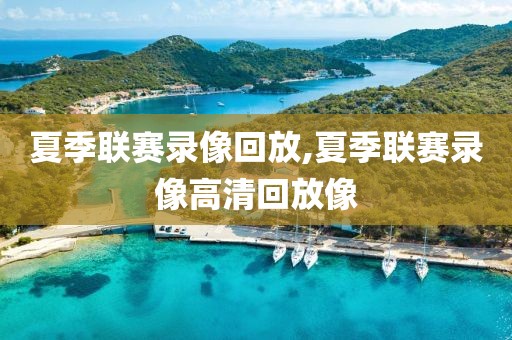 夏季联赛录像回放,夏季联赛录像高清回放像