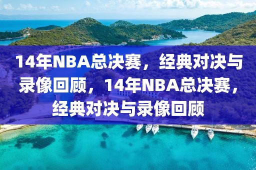 14年NBA总决赛，经典对决与录像回顾，14年NBA总决赛，经典对决与录像回顾