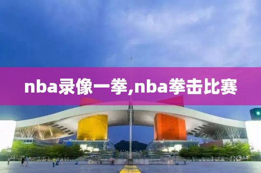 nba录像一拳,nba拳击比赛